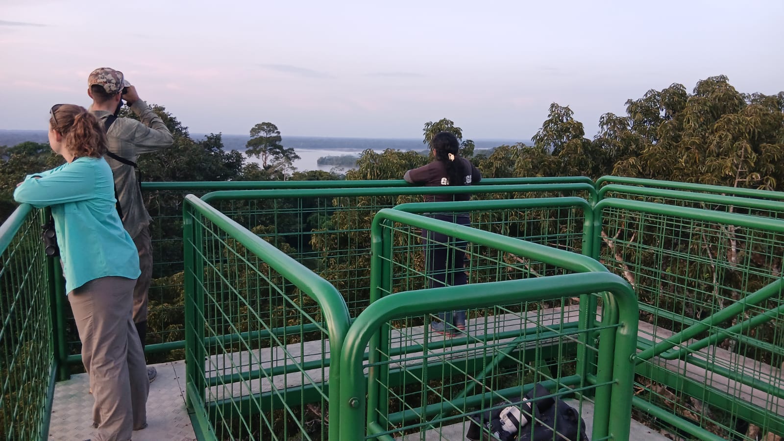 Canopy Tower Experience
